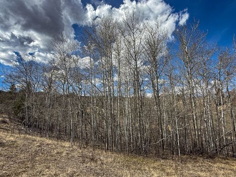 Tiny photo for TBD Lone Pine Gulch Road, Ramsay, MT 59748 (MLS # 30069160)