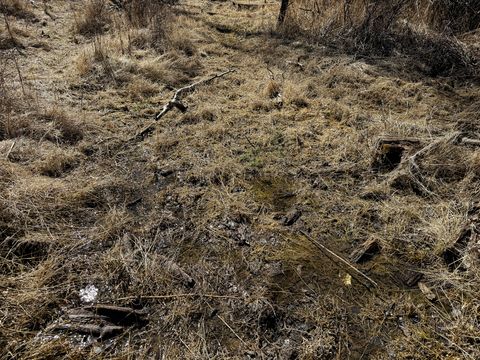 Tiny photo for TBD Lone Pine Gulch Road, Ramsay, MT 59748 (MLS # 30069160)