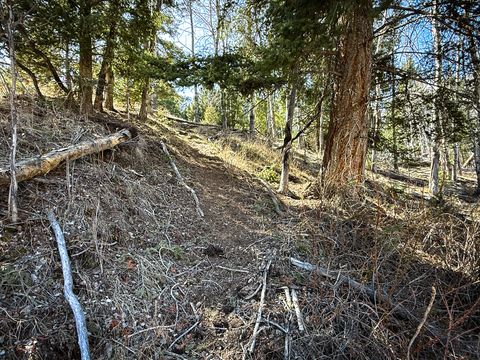 Tiny photo for TBD Lone Pine Gulch Road, Ramsay, MT 59748 (MLS # 30069160)