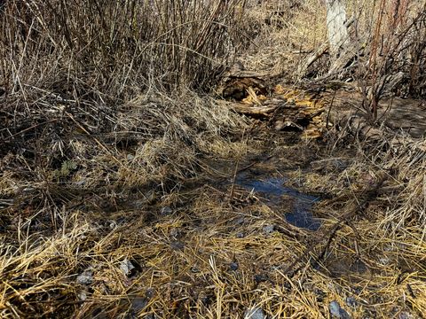 Tiny photo for TBD Lone Pine Gulch Road, Ramsay, MT 59748 (MLS # 30069160)