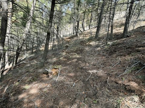 Tiny photo for TBD Lone Pine Gulch Road, Ramsay, MT 59748 (MLS # 30069160)