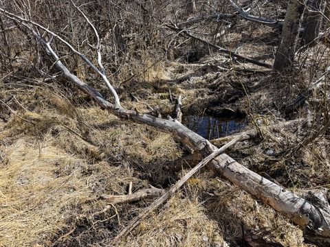 Tiny photo for TBD Lone Pine Gulch Road, Ramsay, MT 59748 (MLS # 30069160)