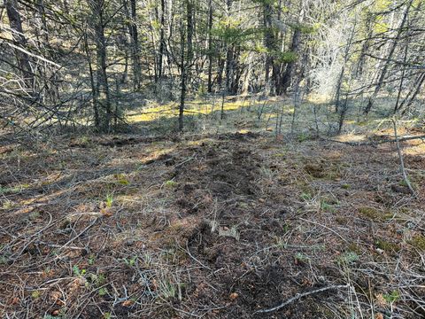 Tiny photo for TBD Lone Pine Gulch Road, Ramsay, MT 59748 (MLS # 30069160)