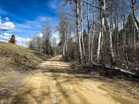 Tiny photo for TBD Lone Pine Gulch Road, Ramsay, MT 59748 (MLS # 30069160)