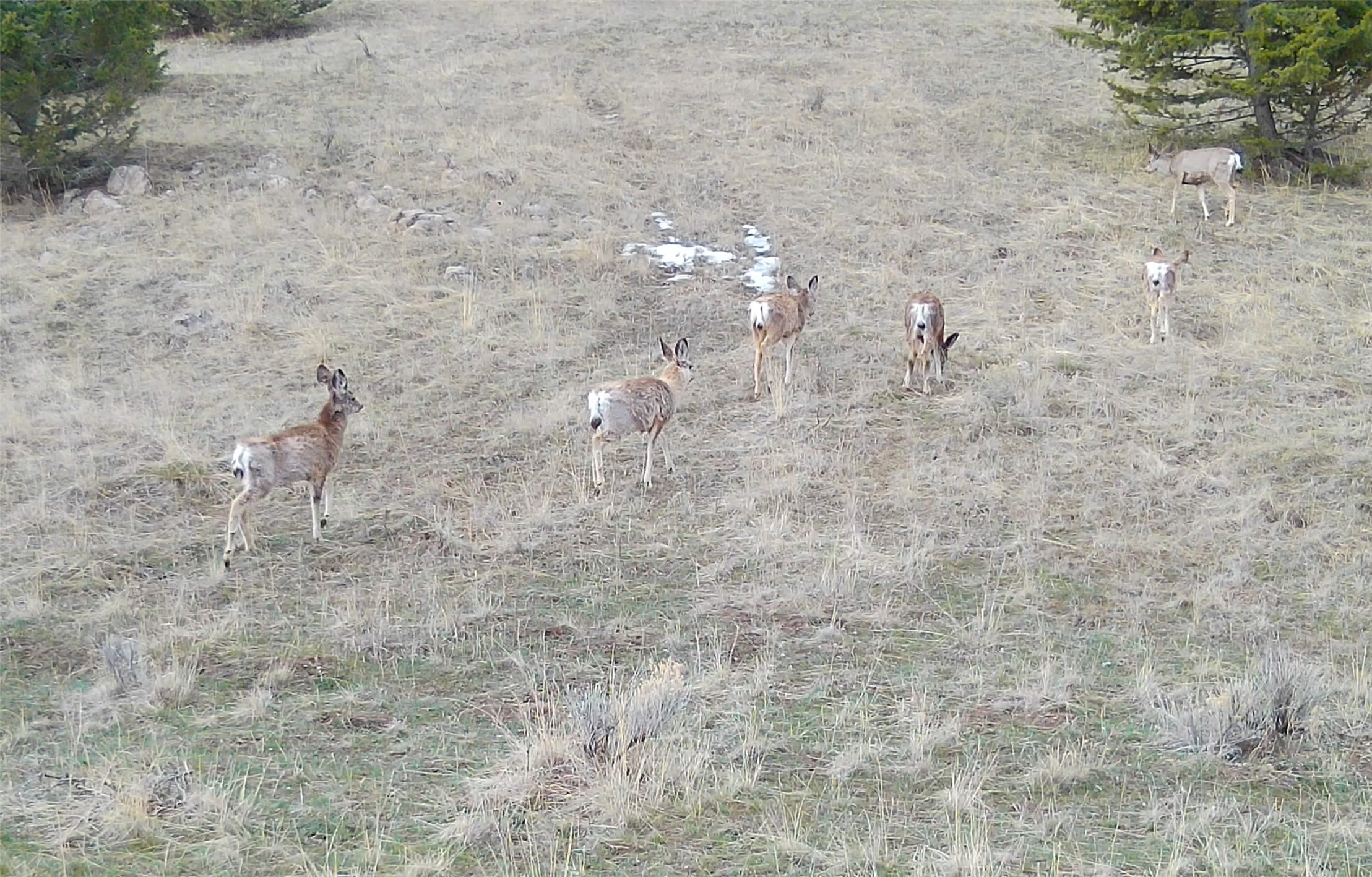 TBD Lone Pine Gulch Road