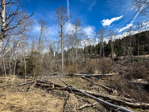 Tiny photo for TBD Lone Pine Gulch Road, Ramsay, MT 59748 (MLS # 30069160)