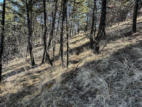 Tiny photo for TBD Lone Pine Gulch Road, Ramsay, MT 59748 (MLS # 30069160)