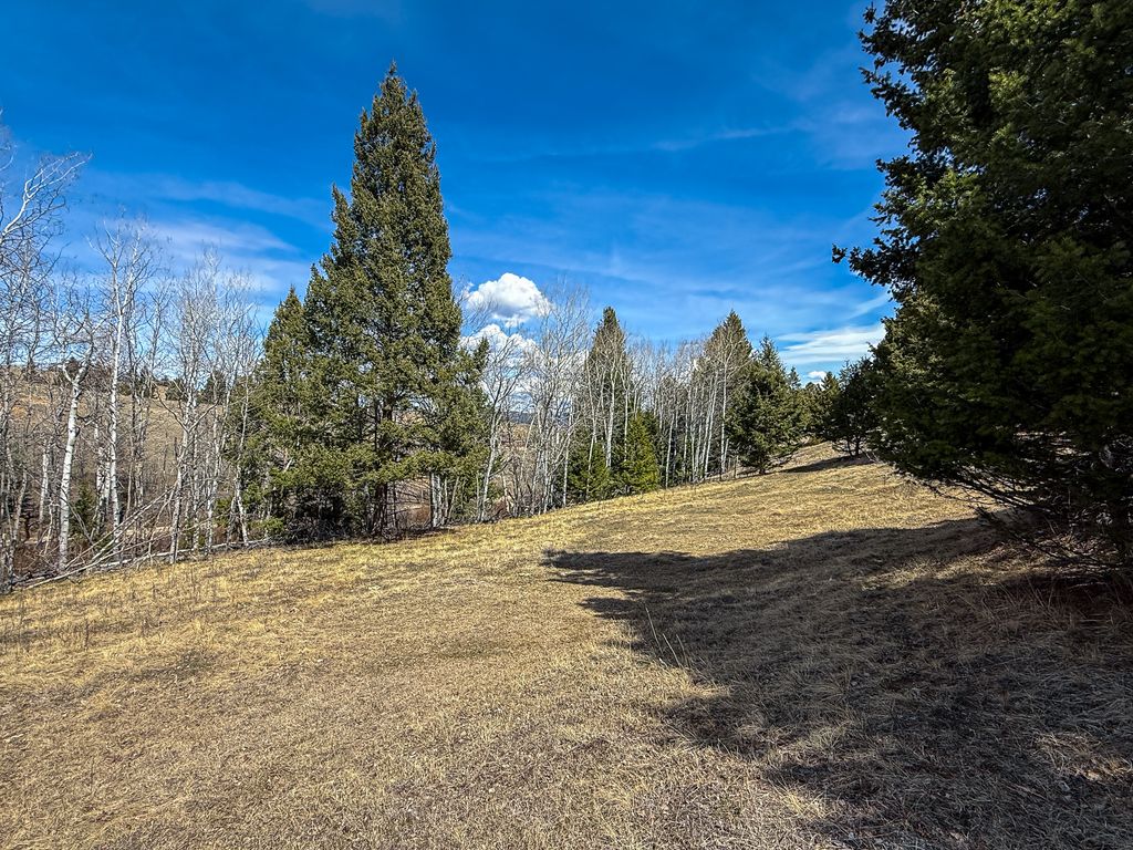 Photo of TBD Lone Pine Gulch Road, Ramsay, MT 59748 (MLS # 30069160)