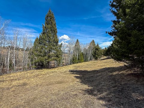 Tiny photo for TBD Lone Pine Gulch Road, Ramsay, MT 59748 (MLS # 30069160)