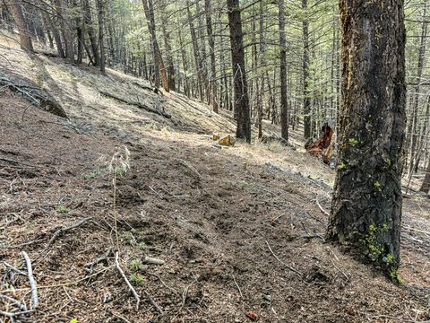 Tiny photo for TBD Lone Pine Gulch Road, Ramsay, MT 59748 (MLS # 30069160)