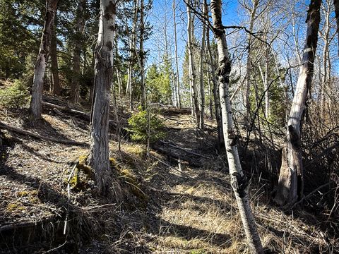 Tiny photo for TBD Lone Pine Gulch Road, Ramsay, MT 59748 (MLS # 30069160)