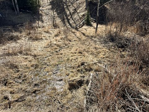 Tiny photo for TBD Lone Pine Gulch Road, Ramsay, MT 59748 (MLS # 30069160)