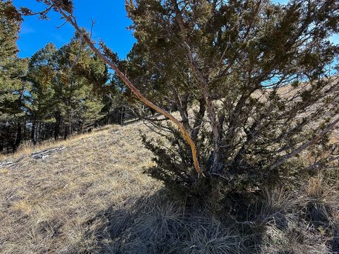 Tiny photo for TBD Lone Pine Gulch Road, Ramsay, MT 59748 (MLS # 30069160)