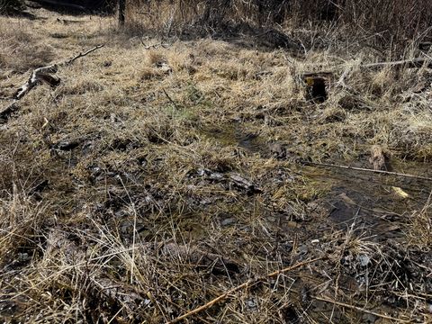 Tiny photo for TBD Lone Pine Gulch Road, Ramsay, MT 59748 (MLS # 30069160)