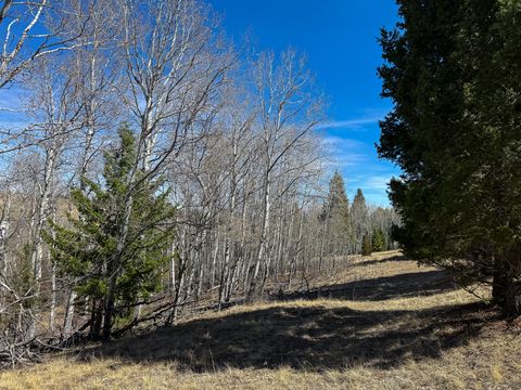 Tiny photo for TBD Lone Pine Gulch Road, Ramsay, MT 59748 (MLS # 30069160)