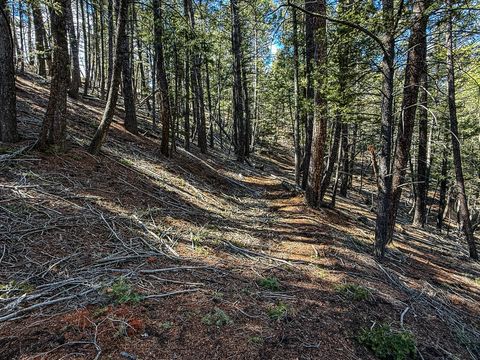 Tiny photo for TBD Lone Pine Gulch Road, Ramsay, MT 59748 (MLS # 30069160)