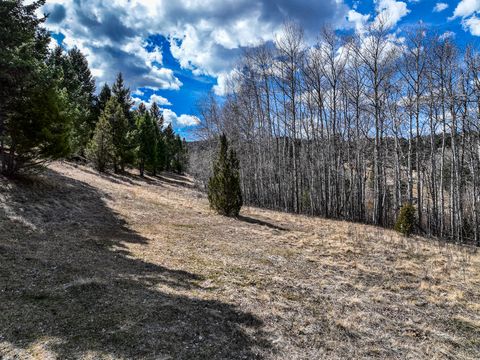 Tiny photo for TBD Lone Pine Gulch Road, Ramsay, MT 59748 (MLS # 30069160)