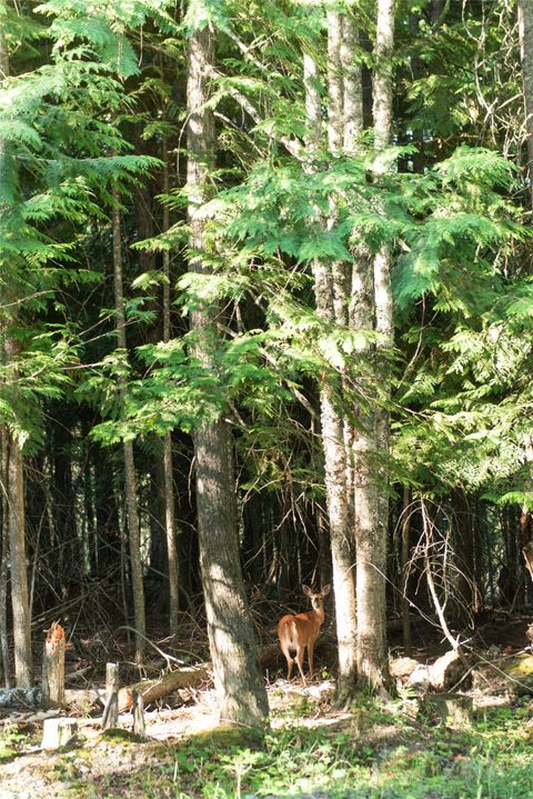 Tiny photo for 14 Tamarack Lane #7A, Whitefish, MT 59937 (MLS # 30067964)