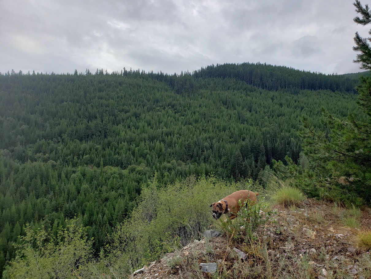 Lot 17 Nine Mile Road