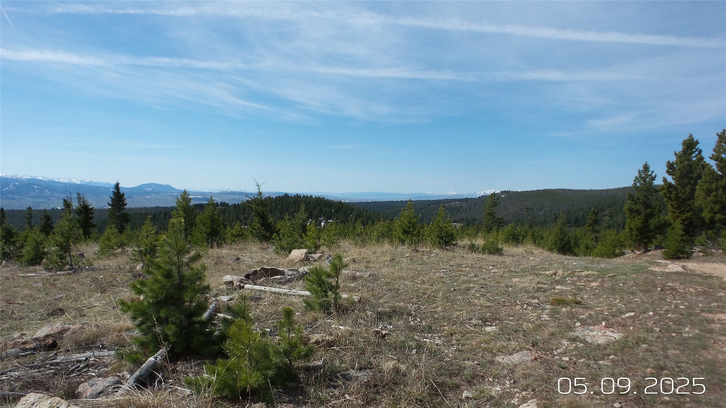 Hidden Treasure Section 01