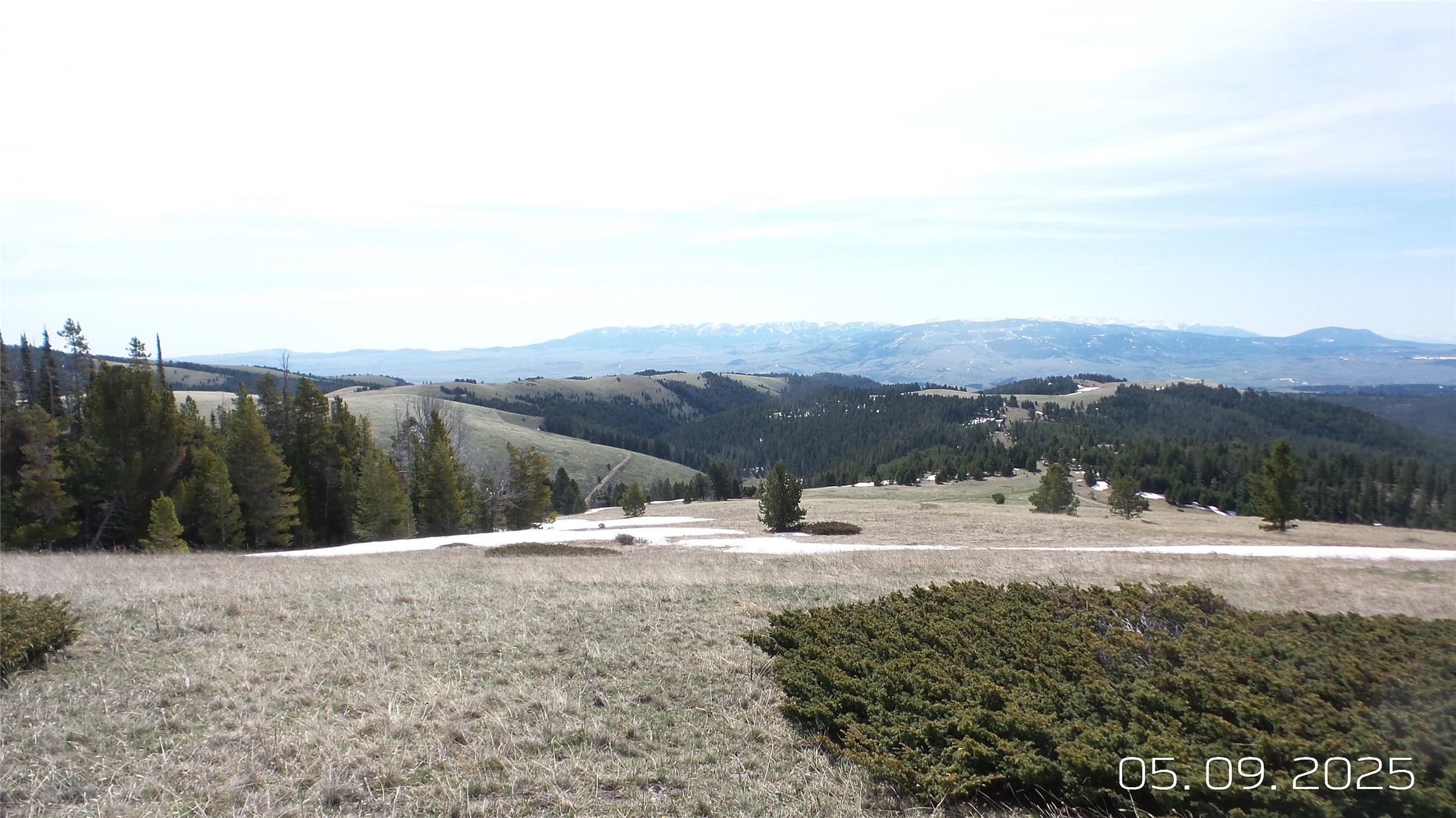 Hidden Treasure Section 01