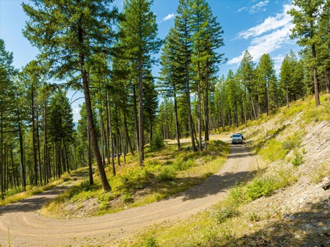 Tiny photo for 69 Eagle Creek Trail, Whitefish, MT 59937 (MLS # 30076149)