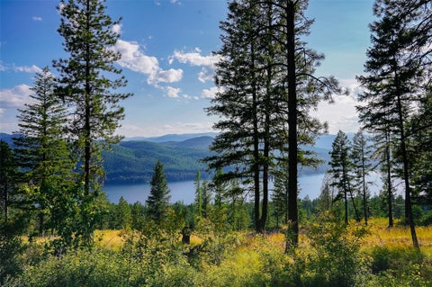 Tiny photo for 69 Eagle Creek Trail, Whitefish, MT 59937 (MLS # 30076149)
