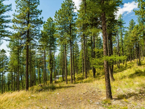 Tiny photo for 69 Eagle Creek Trail, Whitefish, MT 59937 (MLS # 30076149)