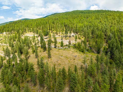 Tiny photo for 69 Eagle Creek Trail, Whitefish, MT 59937 (MLS # 30076149)