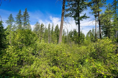 Tiny photo for 643 Saddlehorn Trail, Bigfork, MT 59911 (MLS # 30070231)