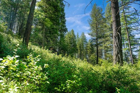 Photo of 643 Saddlehorn Trail, Bigfork, MT 59911 (MLS # 30070231)