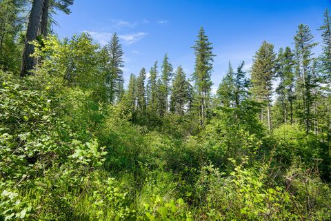 Tiny photo for 643 Saddlehorn Trail, Bigfork, MT 59911 (MLS # 30070231)