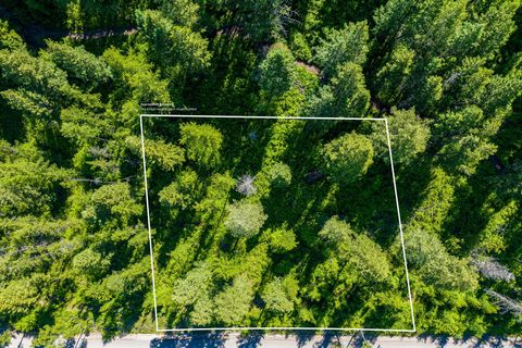 Tiny photo for 643 Saddlehorn Trail, Bigfork, MT 59911 (MLS # 30070231)
