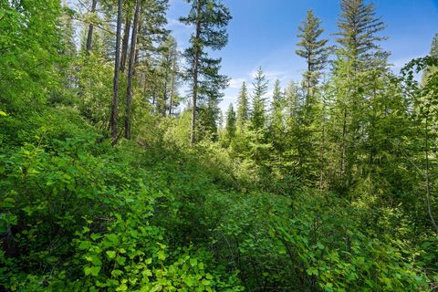 Tiny photo for 643 Saddlehorn Trail, Bigfork, MT 59911 (MLS # 30070231)