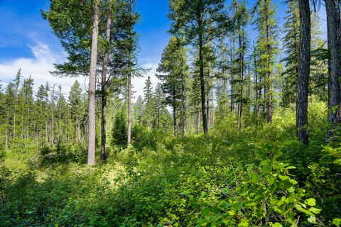 Tiny photo for 643 Saddlehorn Trail, Bigfork, MT 59911 (MLS # 30070231)