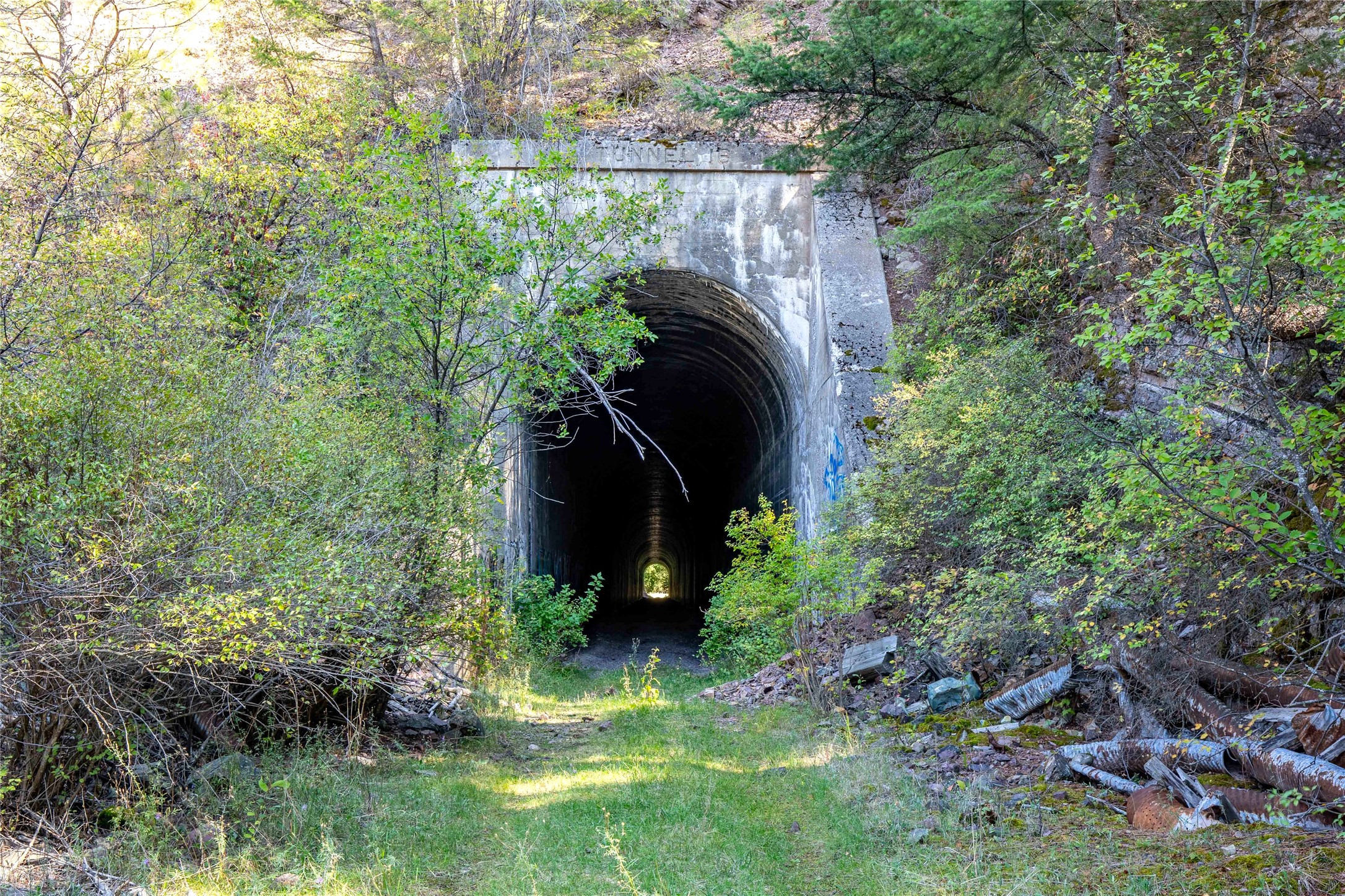 Clinton, Montana 59825, United States, ,Land,Active,214218