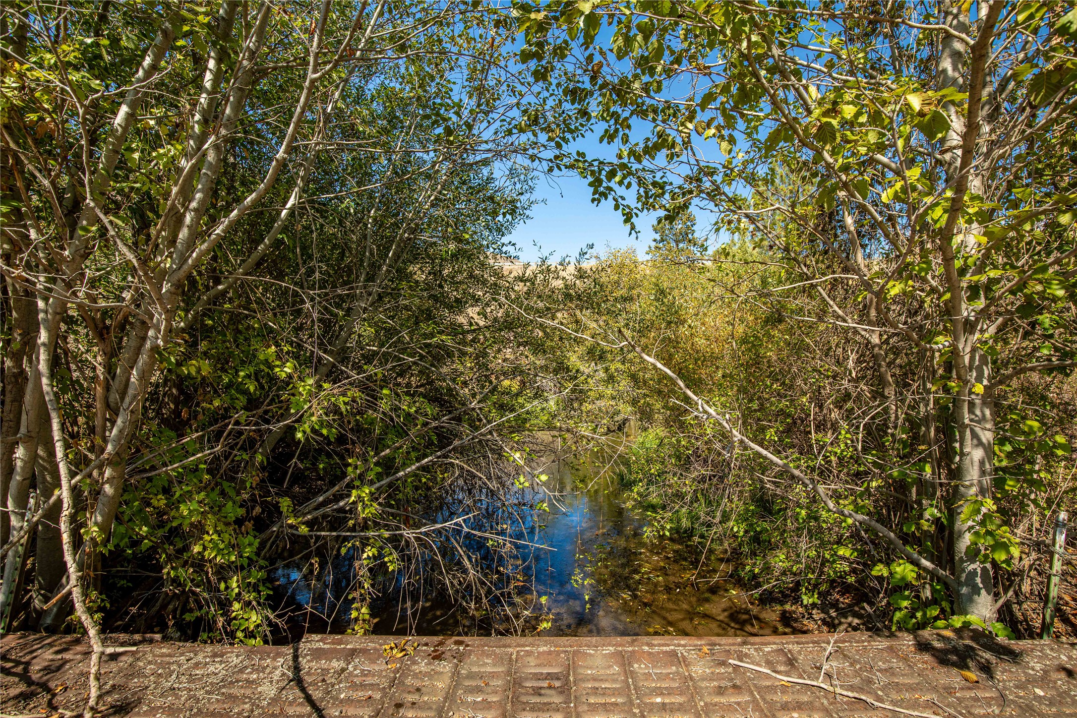 Clinton, Montana 59825, United States, ,Land,Active,214218