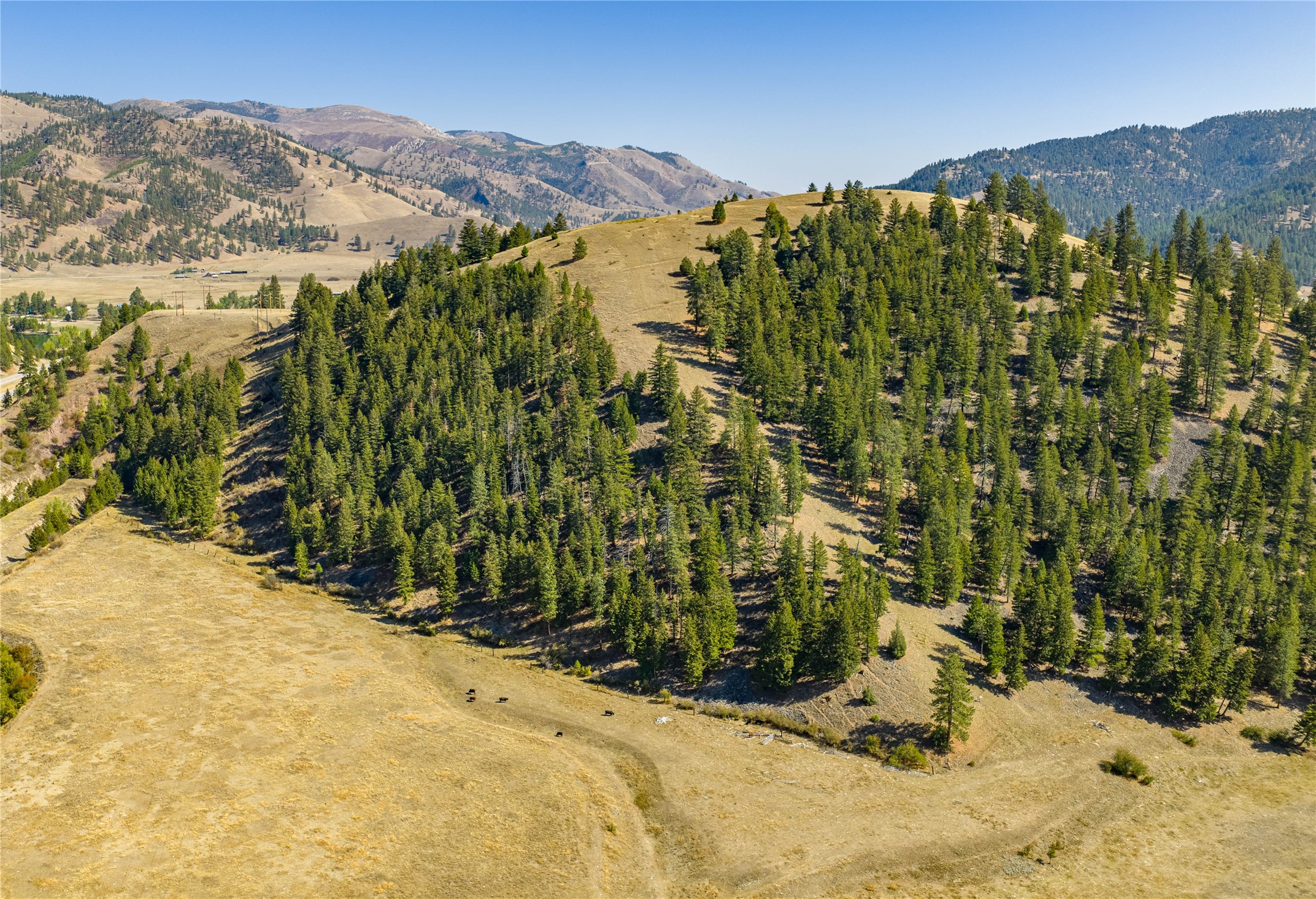 Clinton, Montana 59825, United States, ,Land,Active,214218