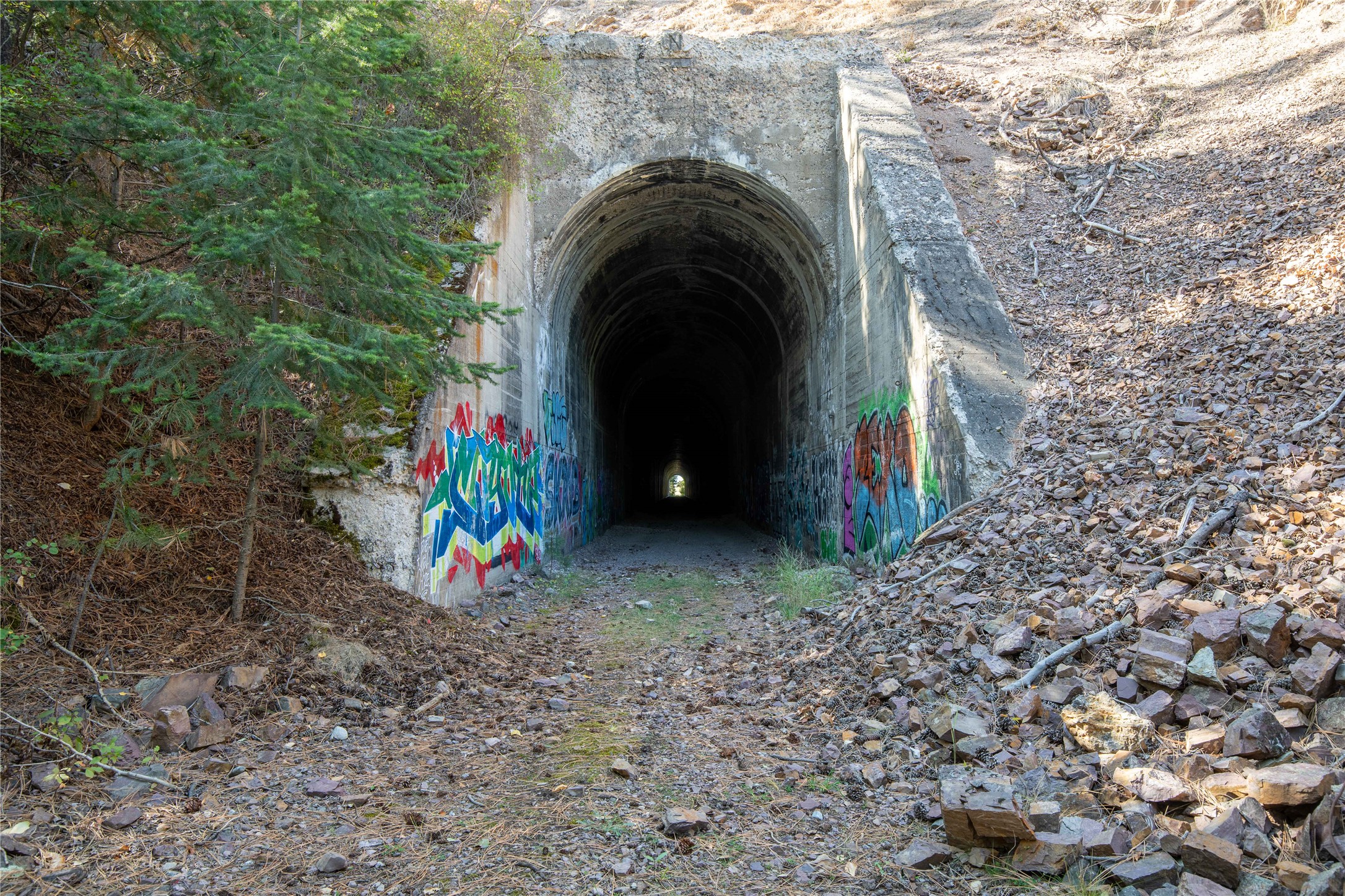 Clinton, Montana 59825, United States, ,Land,Active,214218