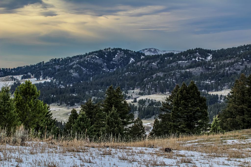Photo of NHN Woodchuck Road, Bozeman, MT 59715 (MLS # 30068425)