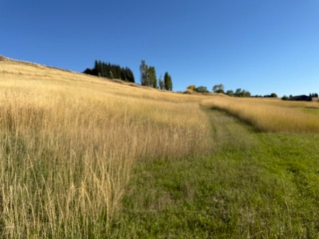 NHN Buena Vista Lane
