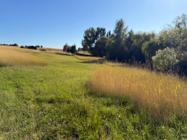 NHN Buena Vista Lane