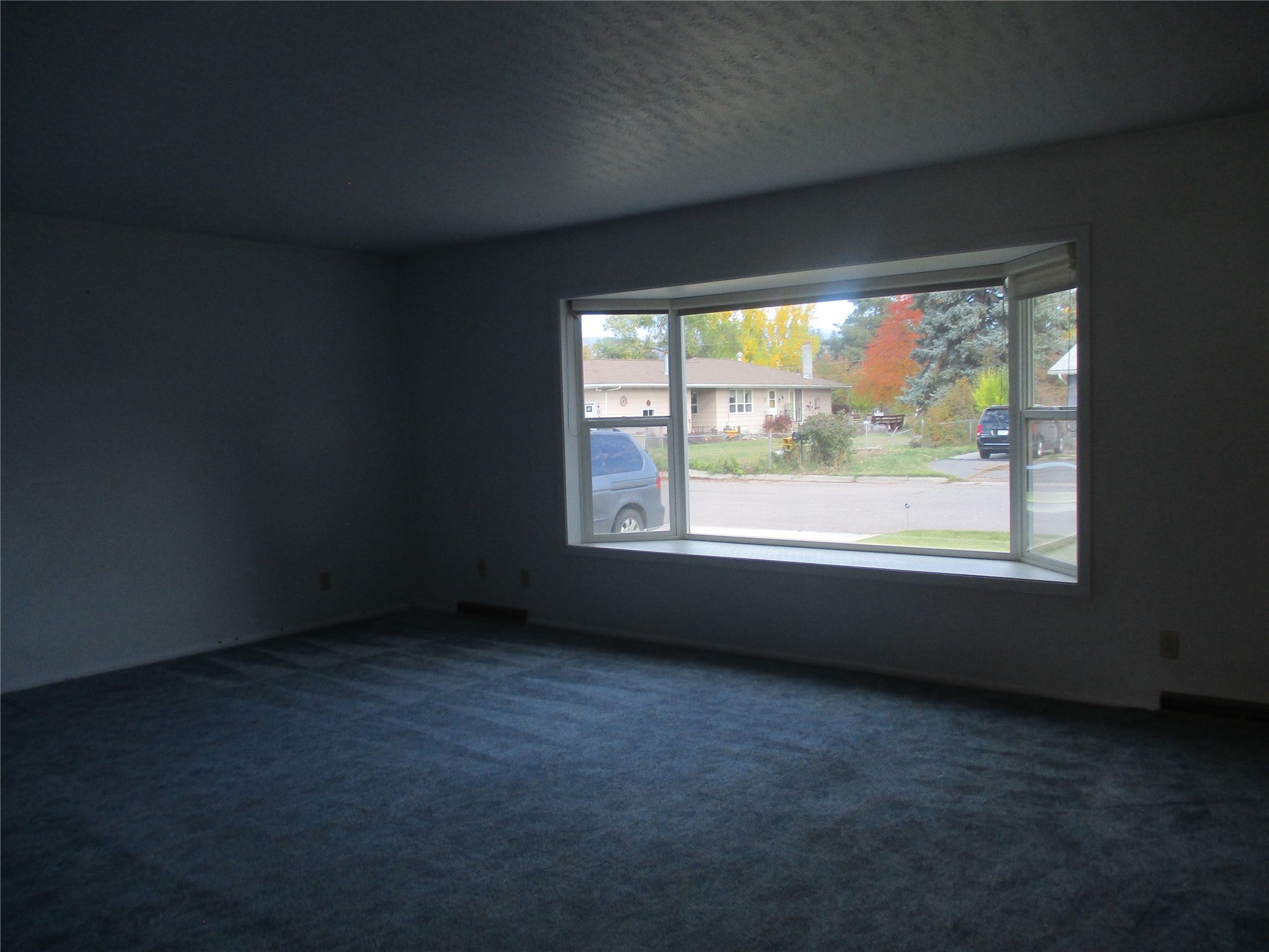 407 Harriet Street