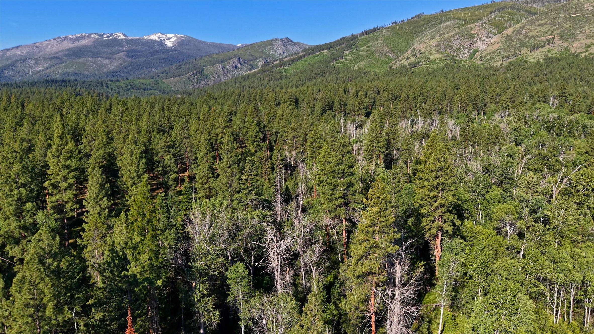 562 Churn Creek Trail