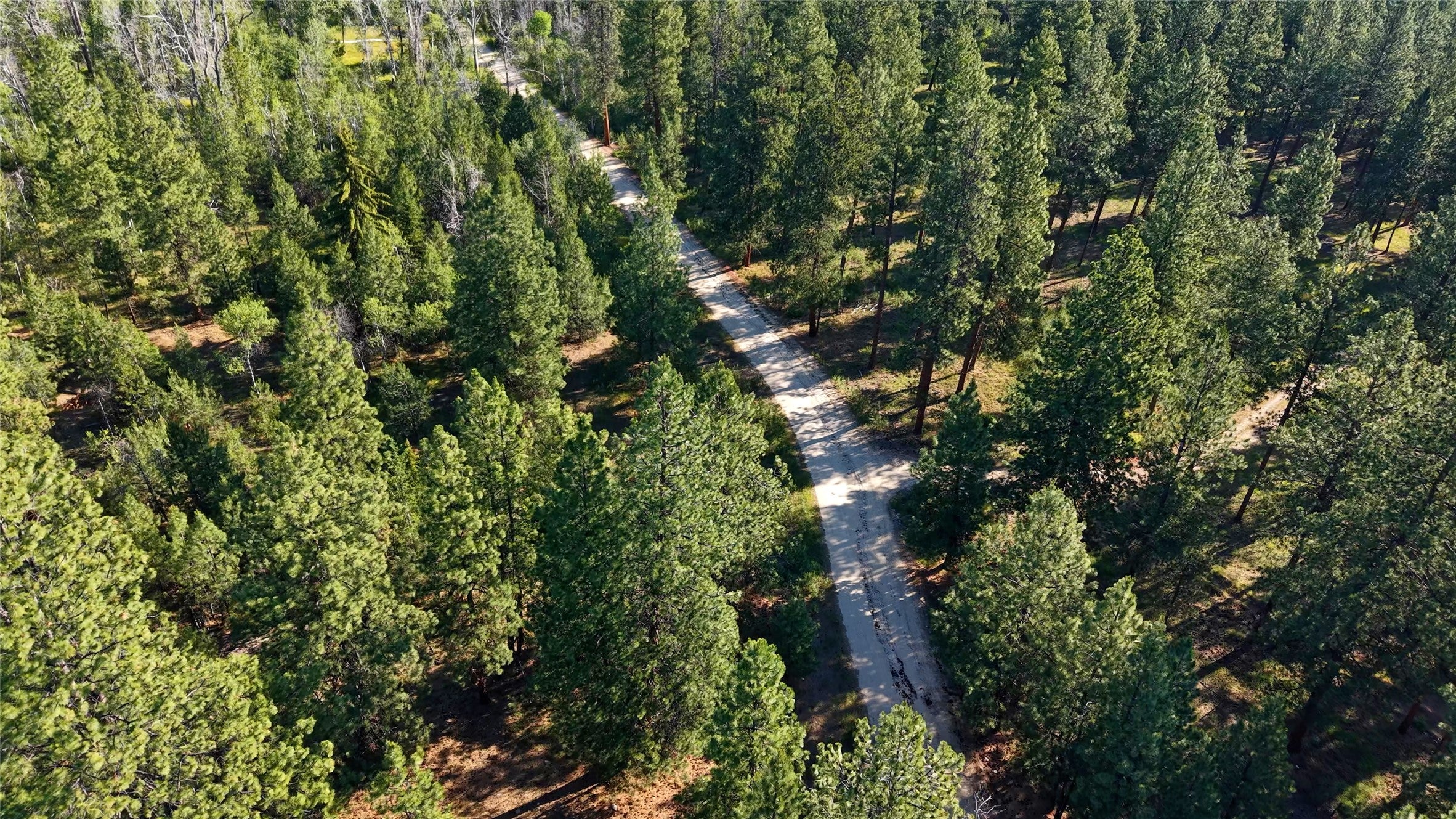 562 Churn Creek Trail