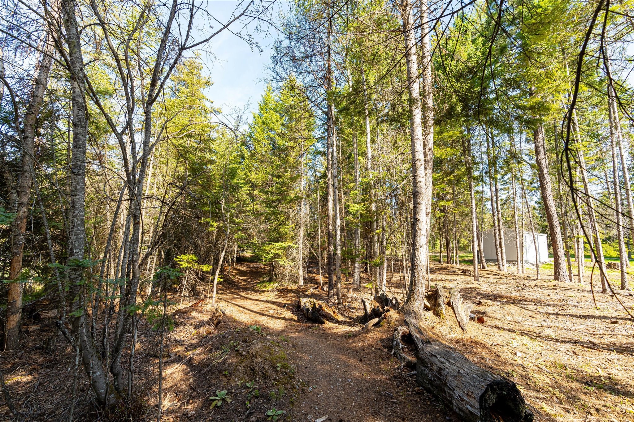 Bigfork, Montana 59911, United States, 3 Bedrooms Bedrooms, ,2 BathroomsBathrooms,Residential,Pending,48971