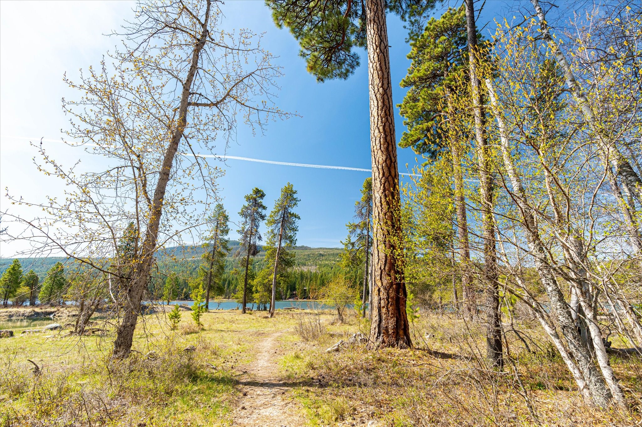 Bigfork, Montana 59911, United States, 3 Bedrooms Bedrooms, ,2 BathroomsBathrooms,Residential,Pending,48971