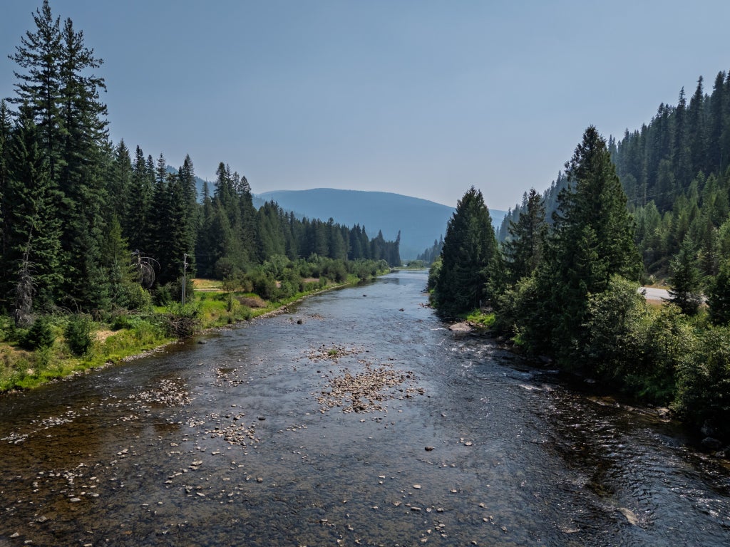 Photo of 441 Cedars Drive, Troy, MT 59935 (MLS # 30076557)