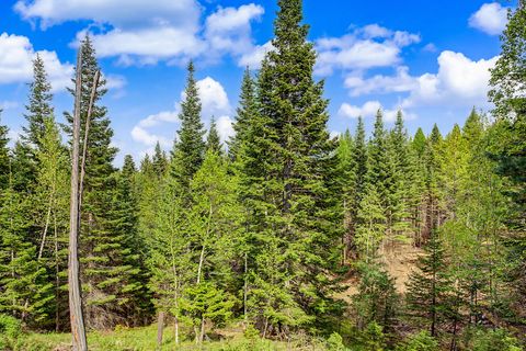 Tiny photo for 30612 Three Turtle Crossing XING, Bigfork, MT 59911 (MLS # 30071059)