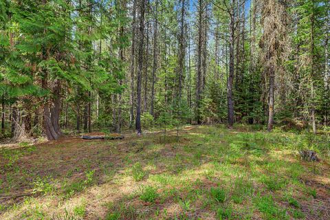 Tiny photo for 30612 Three Turtle Crossing XING, Bigfork, MT 59911 (MLS # 30071059)